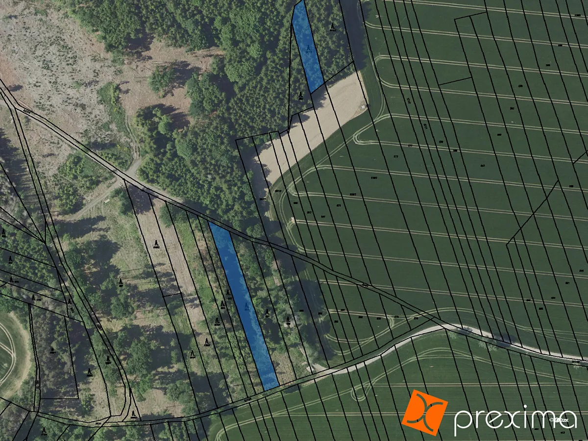 Prodej lesa 5707 m²